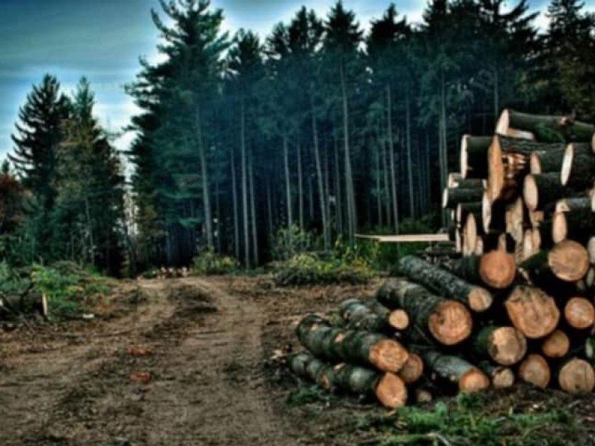 Методичні вказівки